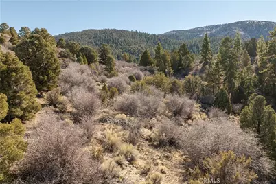 1110 Central, Big Bear City, CA 92314 - Photo 19