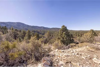 1110 Central, Big Bear City, CA 92314 - Photo 15