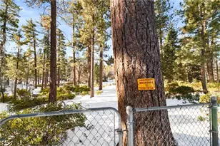 42581 Willow, Big Bear Lake, CA 92315 - Photo 25