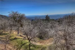 2477 Spring Oak Dr, Running Springs, CA 92382 - Photo 39
