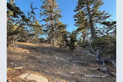 0 Ironwood, Angeles Oaks, CA 92305 - Photo 3