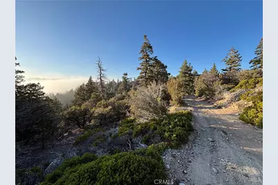 0 Ironwood, Angeles Oaks, CA 92305 - Photo 5