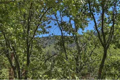 30184 Skyline Drive, Running Springs, CA 92382 - Photo 11