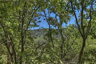 30184 Skyline Dr, Running Springs, CA 92382 - Photo 11