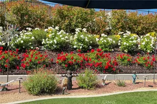 381 Nesting Bird, Beaumont, CA 92223 - Photo 35