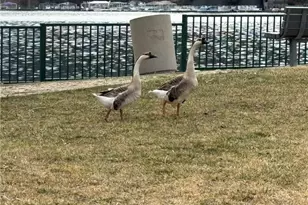 0 Hwy 173, Lake Arrowhead, CA 92352 - Photo 11