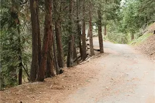 0 Pioneer, Lake Arrowhead, CA 92352 - Photo 1