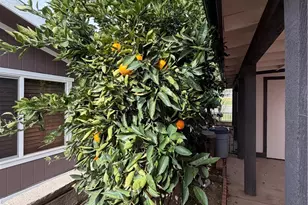 10500 Frontier, Cherry Valley, CA 92223 - Photo 11