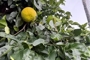 10500 Frontier, Cherry Valley, CA 92223 - Photo 11