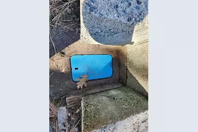 21657 Vista Road, Cedarpines Park, CA 92322 - Photo 23