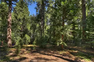 23718 Scenic, Crestline, CA 92325 - Photo 25