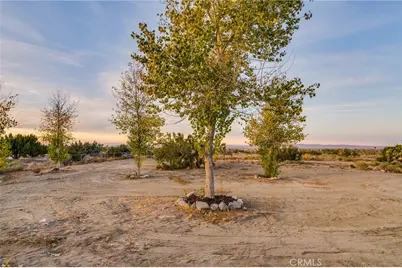 388 Calaveras Road, Pinon Hills, CA 92372 - Photo 31