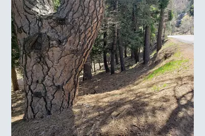 24155 San Moritz Drive, Crestline, CA 92325 - Photo 7