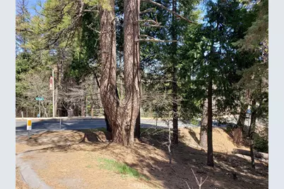 24155 San Moritz Drive, Crestline, CA 92325 - Photo 5