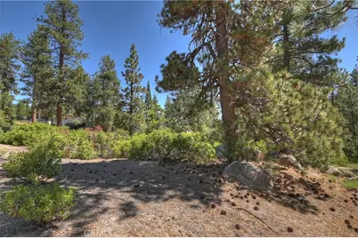 38606 Talbot, Big Bear Lake, CA 92315 - Photo 15