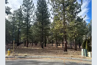 1801 Shady, Big Bear City, CA 92314 - Photo 3