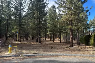 1801 Shady, Big Bear City, CA 92314 - Photo 1