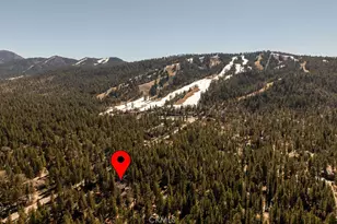 41664 McWhinney, Big Bear Lake, CA 92315 - Photo 5