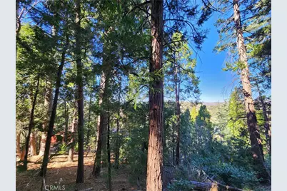 24200 Altdorf, Crestline, CA 92325 - Photo 29