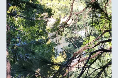 24200 Altdorf, Crestline, CA 92325 - Photo 15