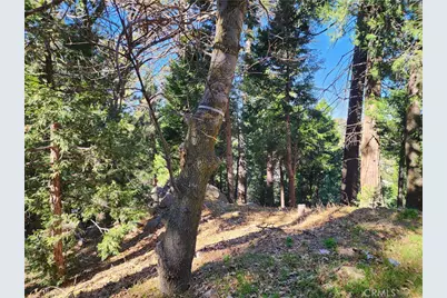 24200 Altdorf, Crestline, CA 92325 - Photo 23