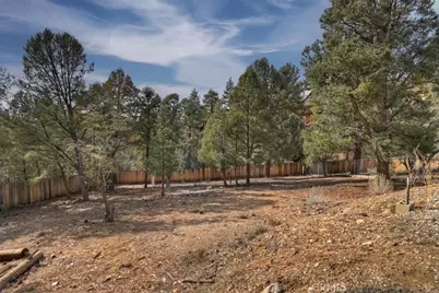 1051 Mound, Big Bear City, CA 92314 - Photo 57