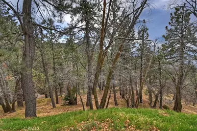 32047 Pine Cone, Running Springs, CA 92382 - Photo 45