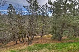 32047 Pine Cone, Running Springs, CA 92382 - Photo 43