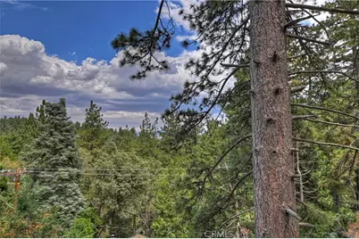 804 Sierra Vista, Twin Peaks, CA 92391 - Photo 55