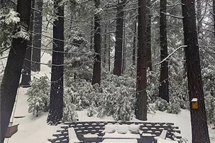 804 Sierra Vista, Twin Peaks, CA 92391 - Photo 39