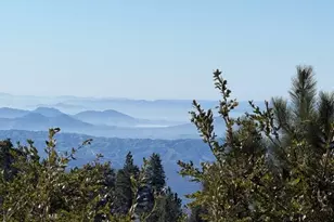 30509 Live Oak, Running Springs, CA 92382 - Photo 21