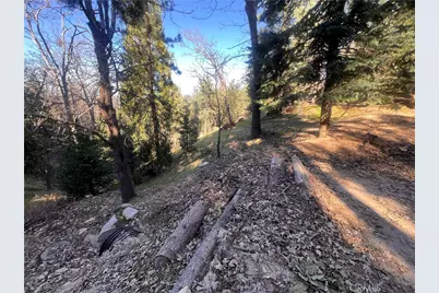 24989 Highland, Crestline, CA 92325 - Photo 5