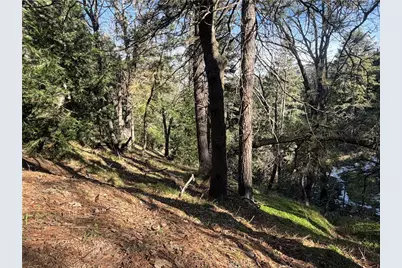 24989 Highland, Crestline, CA 92325 - Photo 7