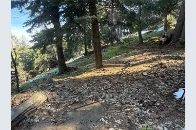 24989 Highland, Crestline, CA 92325 - Photo 3