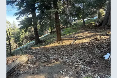 24989 Highland, Crestline, CA 92325 - Photo 3