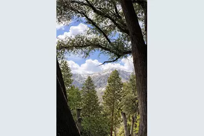 40204 Valley Of The Falls, Forest Falls, CA 92339 - Photo 15