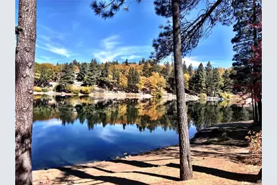 33874 Green Valley Lake Road, Green Valley Lake, CA 92341 - Photo 41