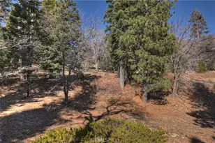 33874 Green Valley Lake Rd, Green Valley Lake, CA 92341 - Photo 23