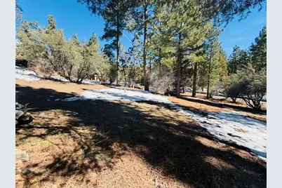 808 Antelope Mountain, Big Bear City, CA 92314 - Photo 3