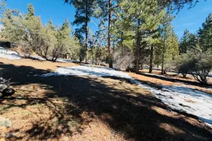808 Antelope Mountain, Big Bear City, CA 92314 - Photo 1