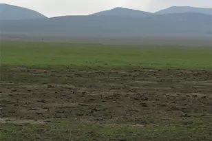 0 043-470-16-00-7 Emily St, Lost Hills, CA 93249 - Photo 1