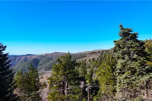 30904 Live Oak Dr, Running Springs, CA 92382 - Photo 17