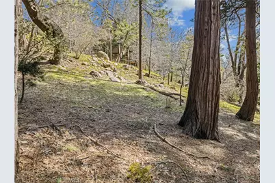 27391 Alpen, Lake Arrowhead, CA 92352 - Photo 67