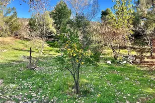 35780 Eureka Ave, Yucaipa, CA 92399 - Photo 33