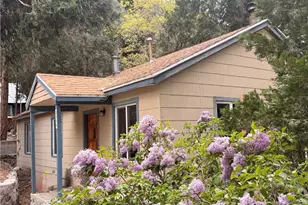 9504 Summit, Forest Falls, CA 92339 - Photo 1