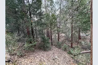 0 Hook Creek, Cedar Glen, CA 92321 - Photo 7