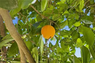 611 S Laurel Ave, Ontario, CA 91762 - Photo 29