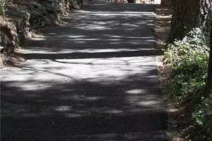 21636 Sawpit Canyon, Cedarpines Park, CA 92322 - Photo 49