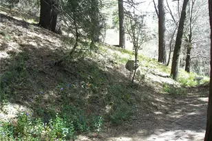 21636 Sawpit Canyon, Cedarpines Park, CA 92322 - Photo 73