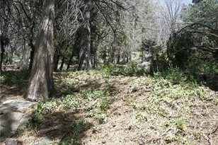21636 Sawpit Canyon, Cedarpines Park, CA 92322 - Photo 63